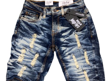 Kids EVOLUTION Wild Tiger Denim Shorts Online Hot Sale