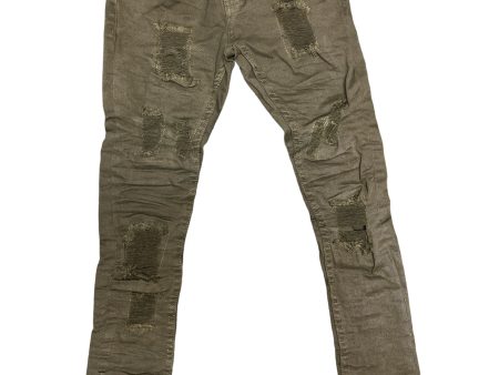 Kids EVOLUTION Wild Tiger Denim Jeans Fashion