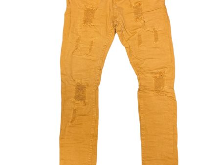 Kids EVOLUTION Wild Tiger Denim Jeans Discount